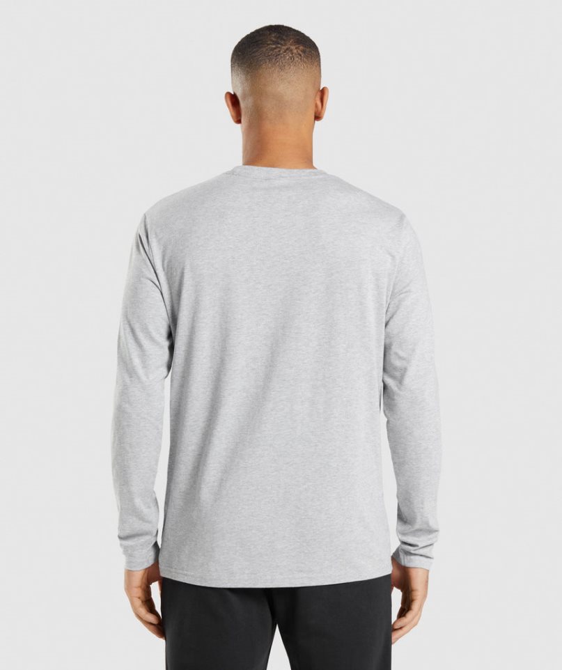 Koszulki Gymshark Crest Long Sleeve Męskie Głęboka Szare | PL 196GSQ